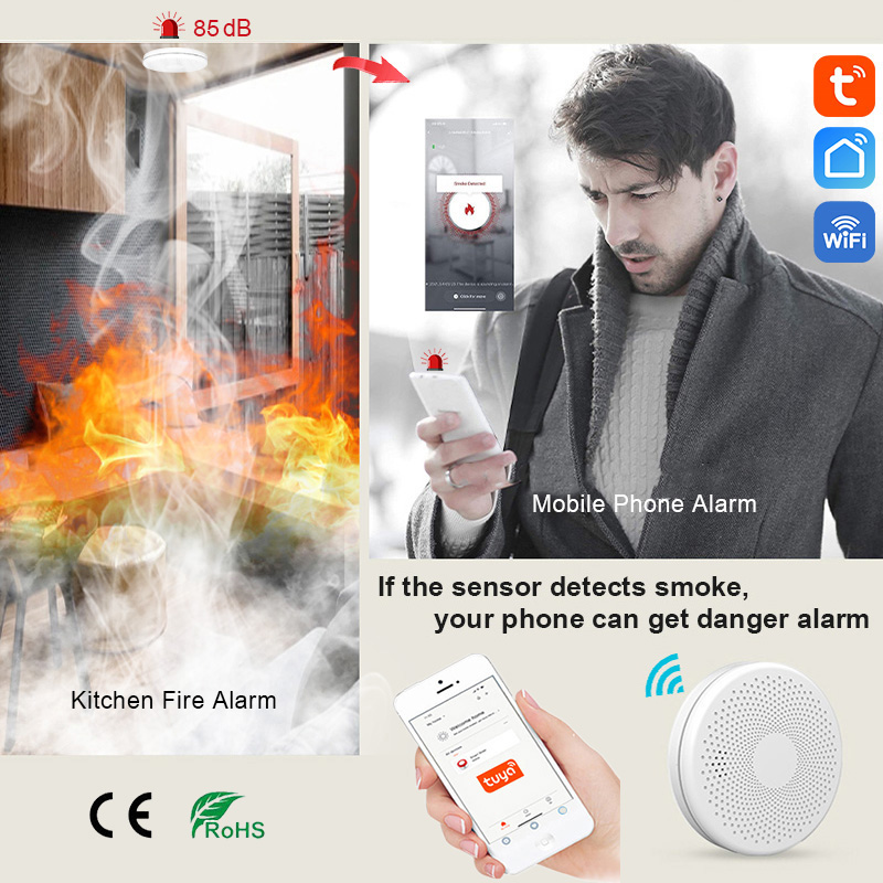 2 in 1 Version WiFi Tuya Smart - Smoke Detector Interconnected recension och pris